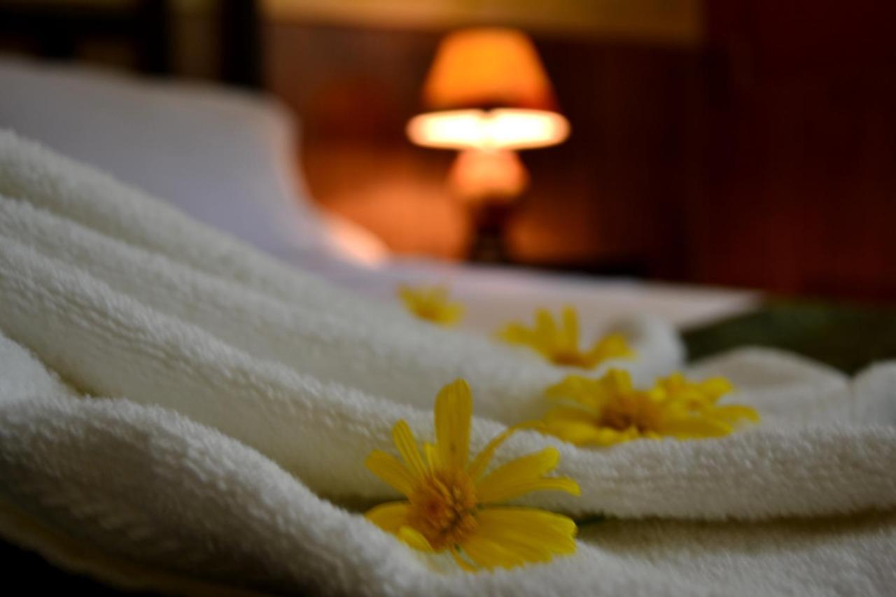 Hotel Casa Aura Картаго Экстерьер фото